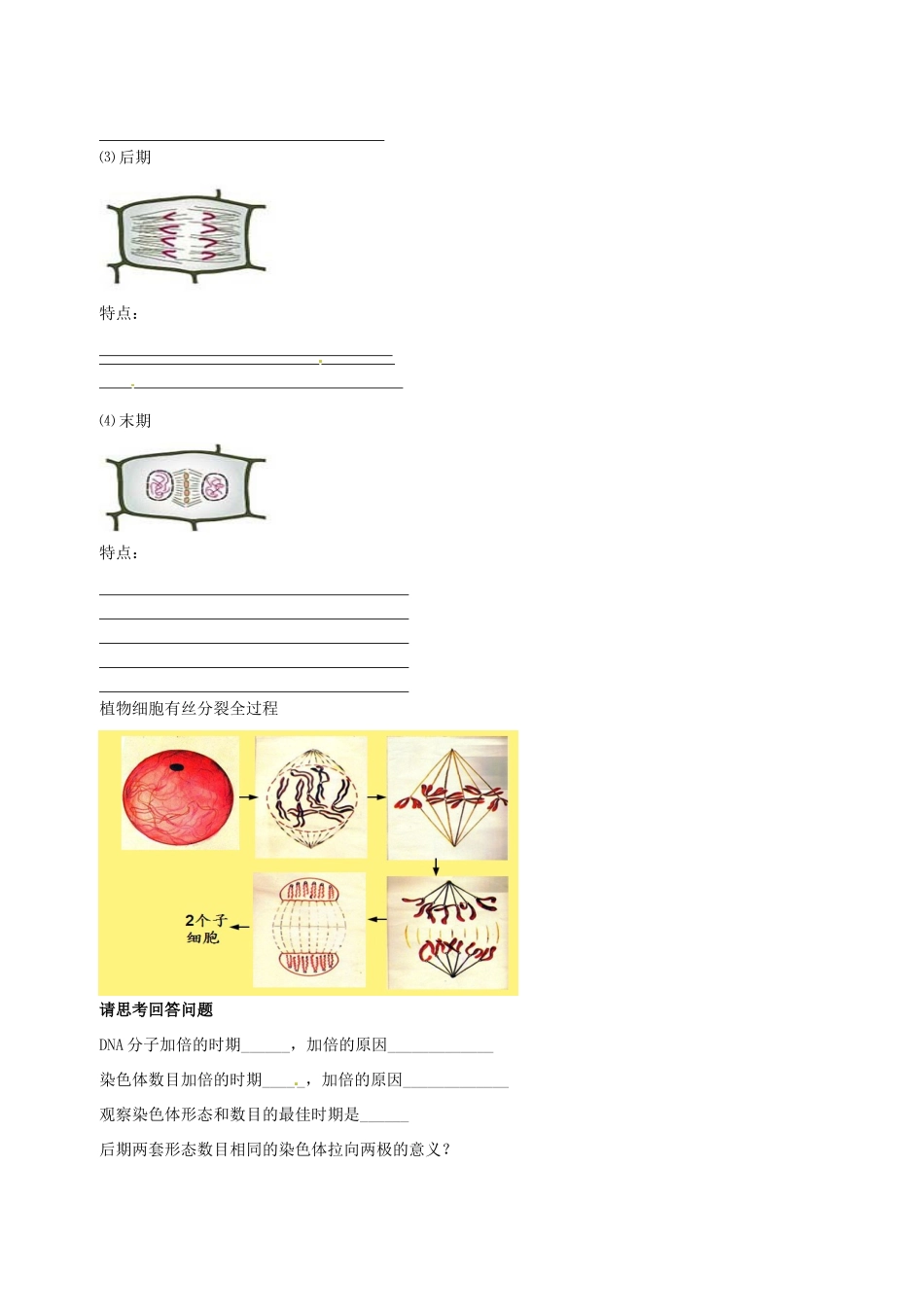 高中物理 细胞的增殖素材 新人教版必修1-新人教版高一必修1物理素材_第3页