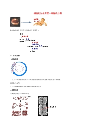 高中物理 细胞的增殖素材 新人教版必修1-新人教版高一必修1物理素材
