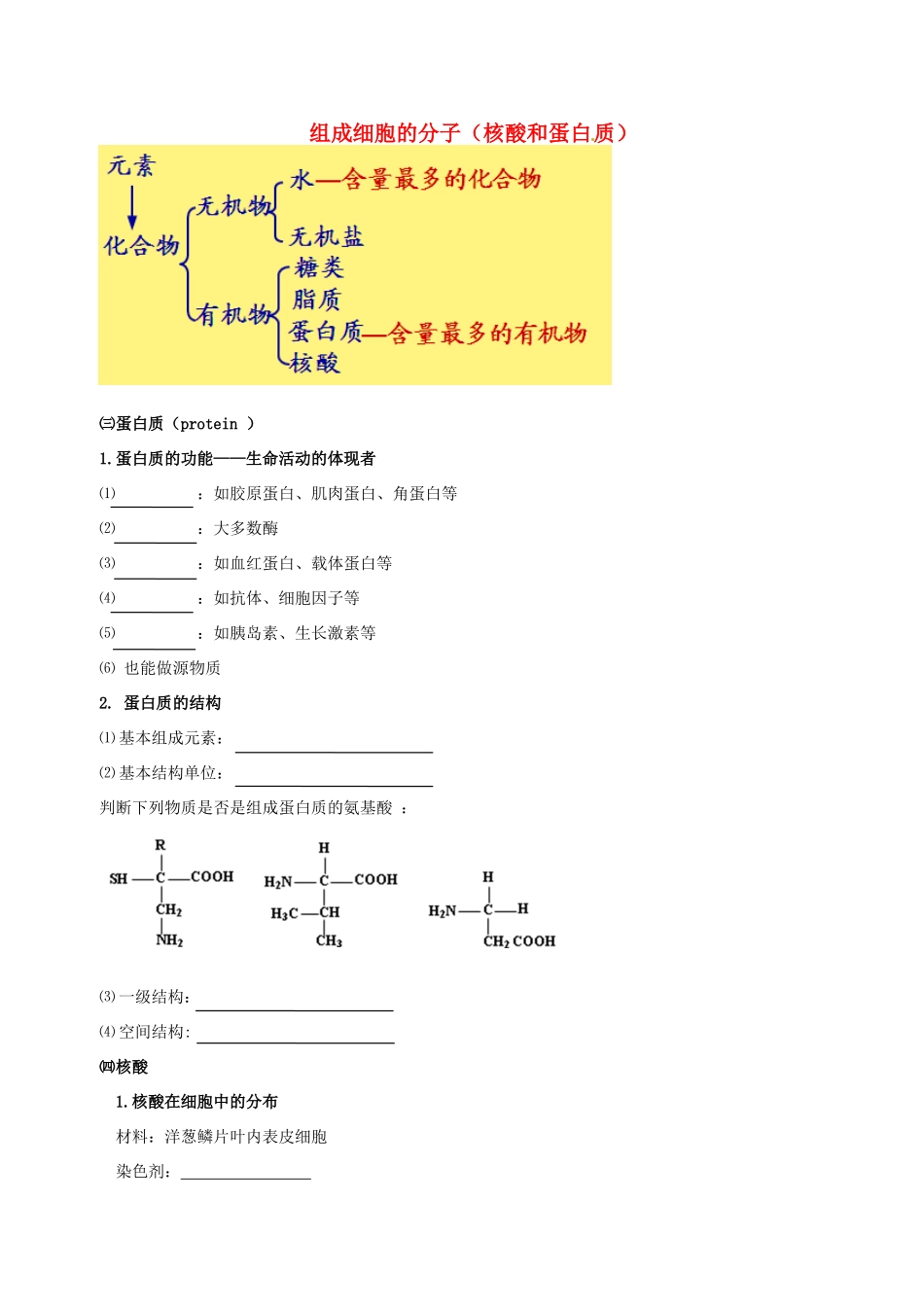 高中物理 组成细胞的分子（核酸和蛋白质）素材 新人教版必修1-新人教版高一必修1物理素材_第1页