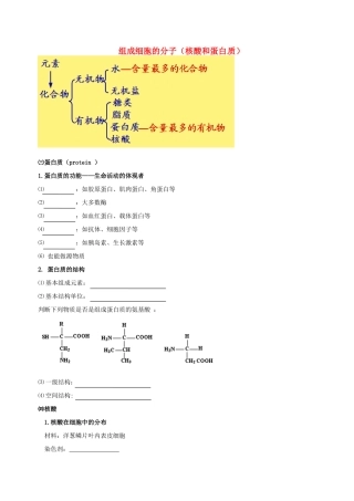 高中物理 组成细胞的分子（核酸和蛋白质）素材 新人教版必修1-新人教版高一必修1物理素材