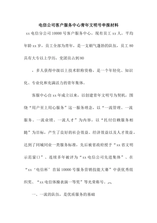 电信公司客户服务中心青年文明号申报材料