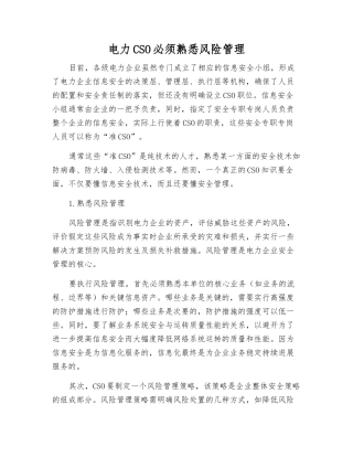 电力CSO必须熟悉风险管理