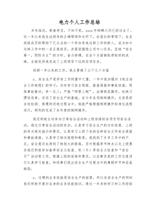 电力个人工作总结