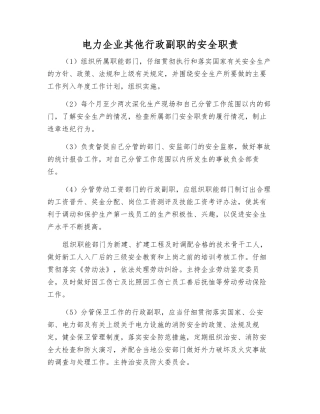 电力企业其他行政副职的安全职责