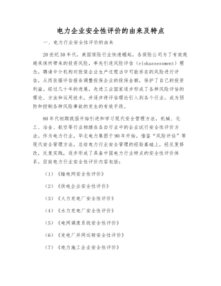 电力企业安全性评价的由来及特点