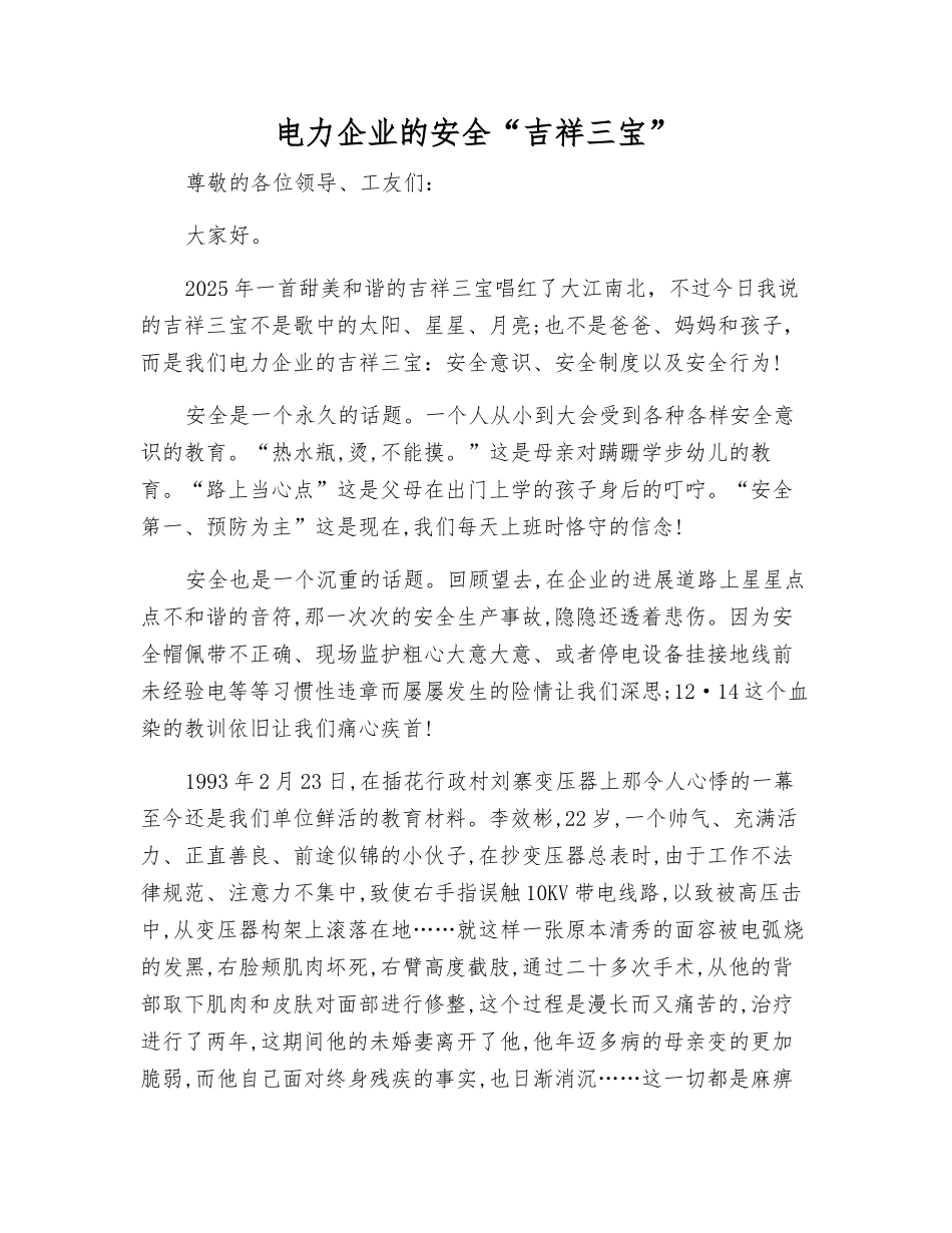 电力企业的安全“吉祥三宝”_第1页