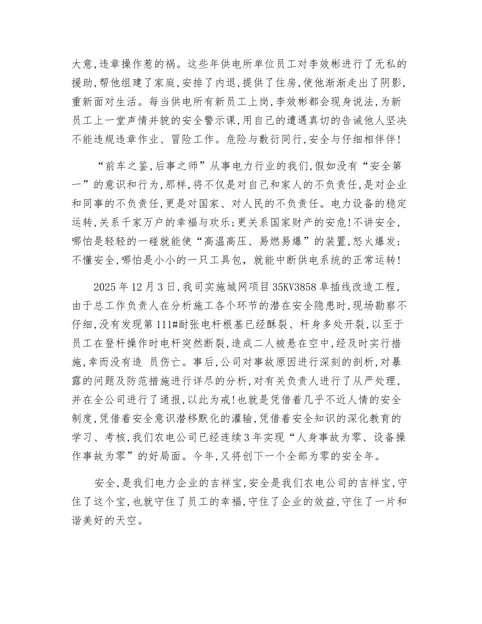 电力企业的安全“吉祥三宝”_第2页