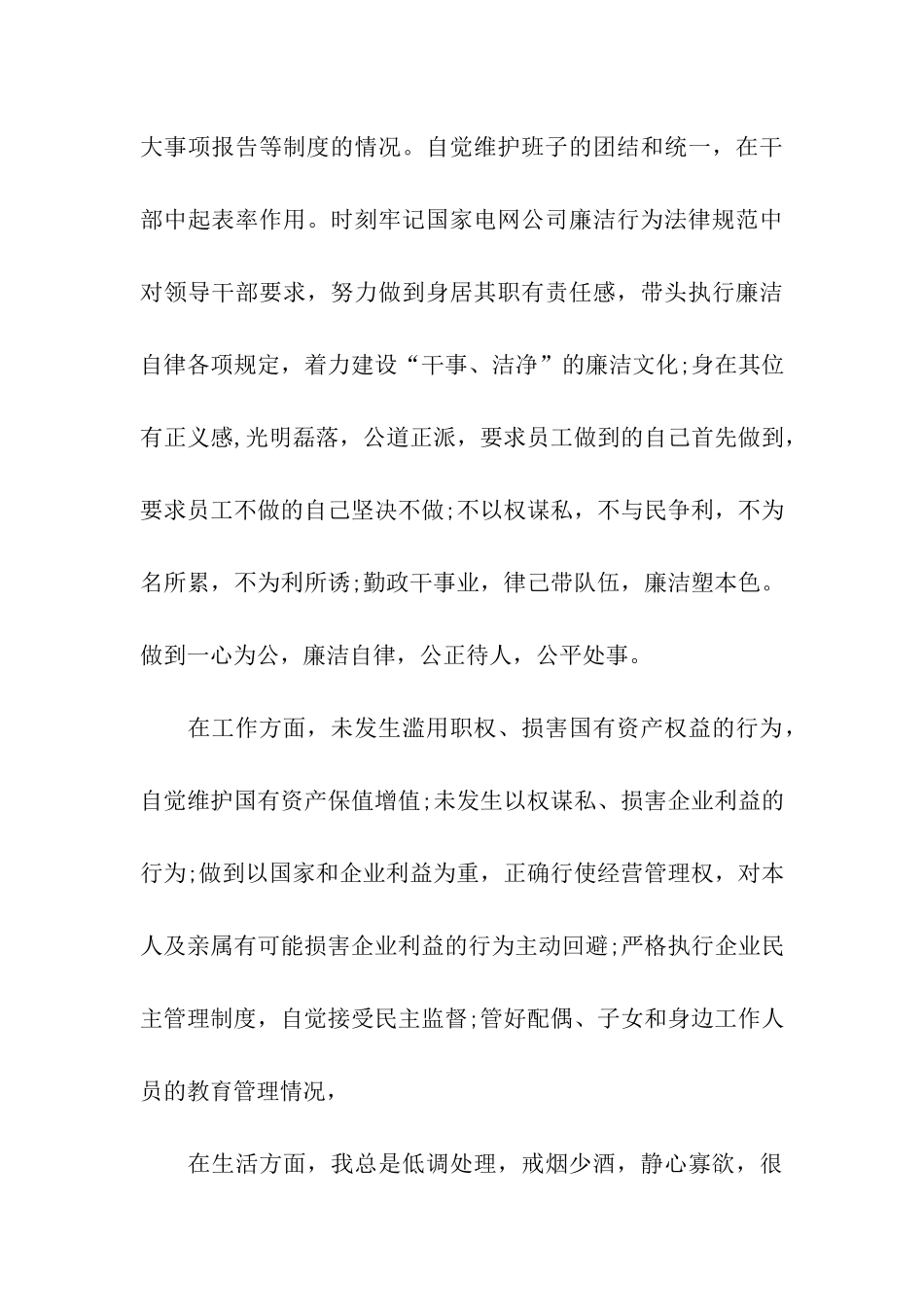 电力副局长述职述廉报告_第3页