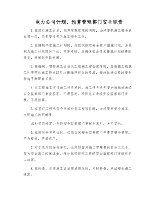 电力公司计划、预算管理部门安全职责