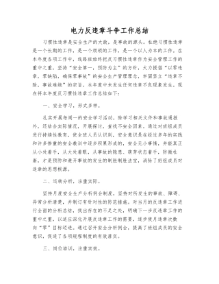 电力反违章斗争工作总结