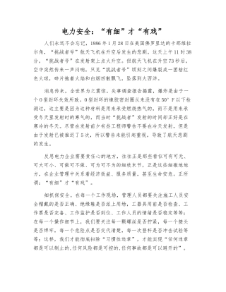 电力安全“有细”才“有戏”