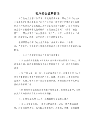电力安全监察体系