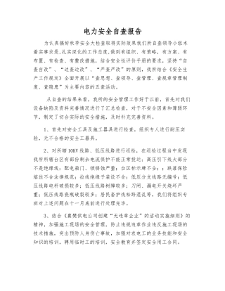 电力安全自查报告