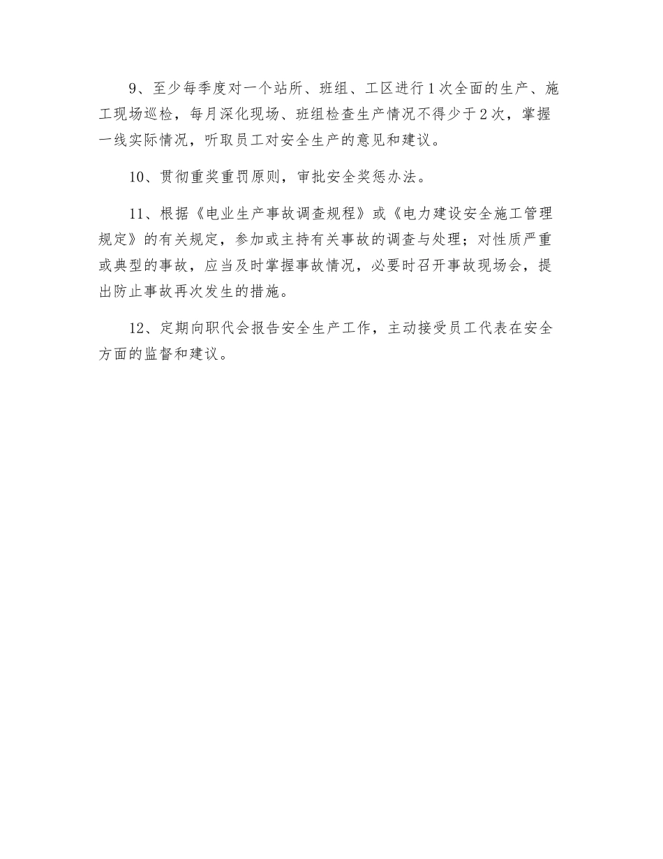 电力局局长安全职责_第2页