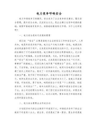 电力竞争呼唤安全