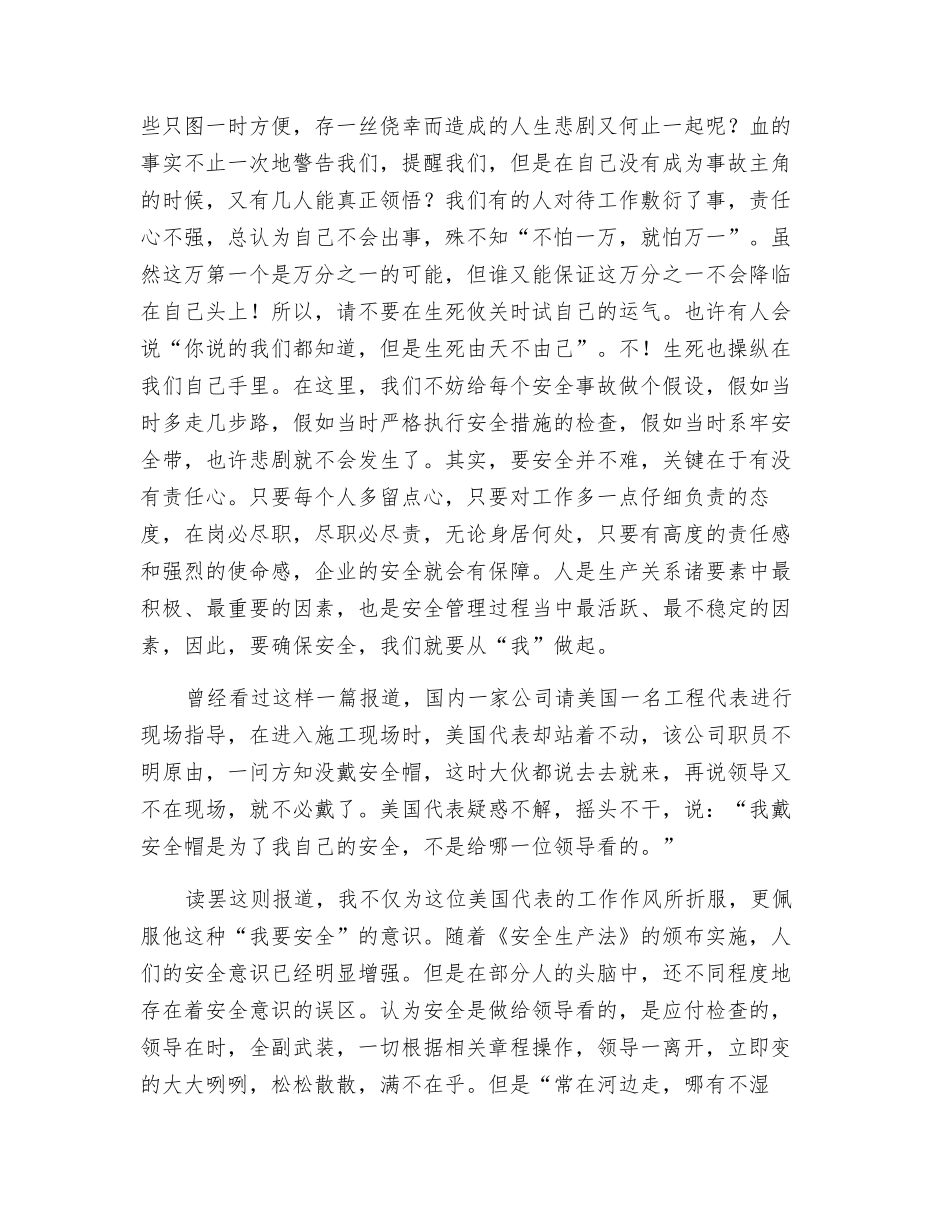 电力系统安全演讲稿_第2页