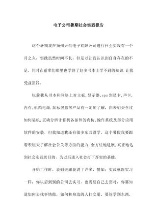 电子公司暑期社会实践报告