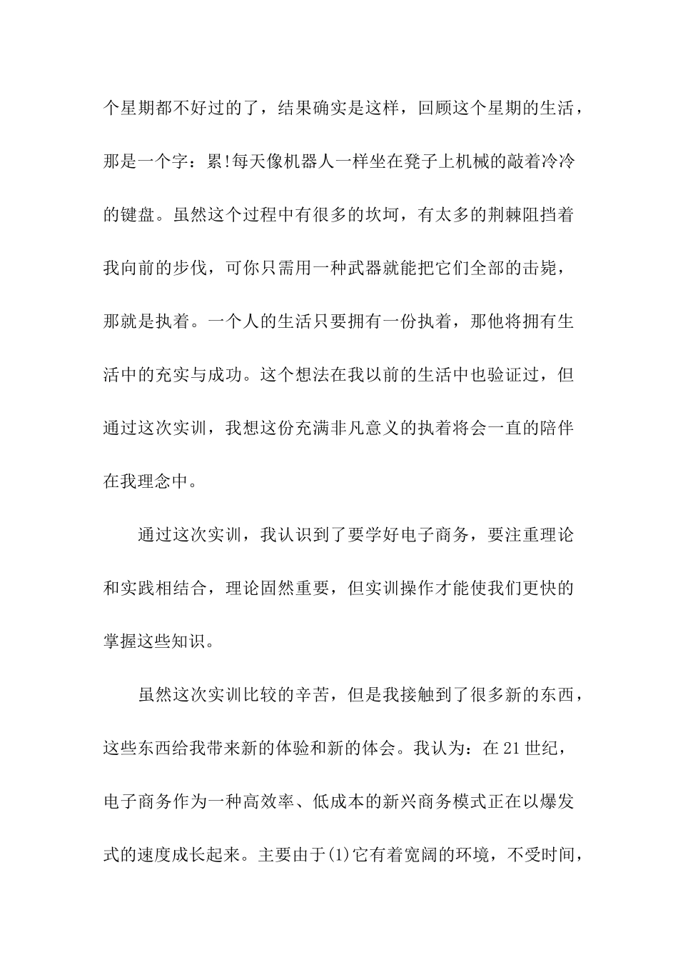 电子商务实训暑期社会实践报告_第3页