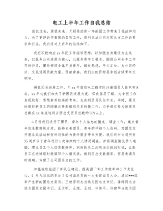电工上半年工作自我总结