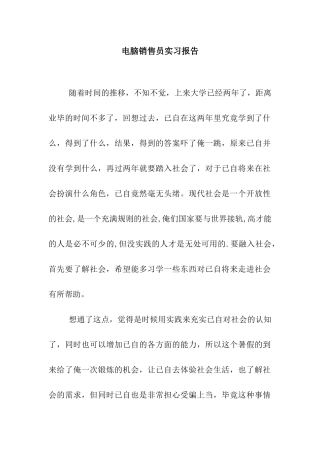 电脑销售员实习报告