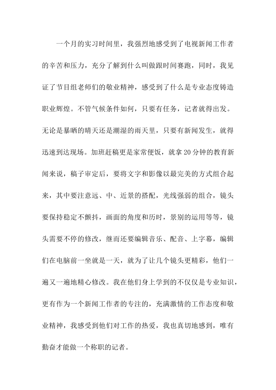 电视台暑期实习报告格式_第3页
