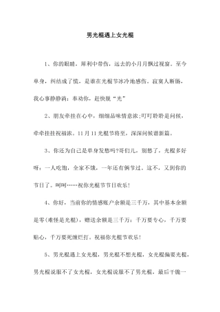 男光棍遇上女光棍