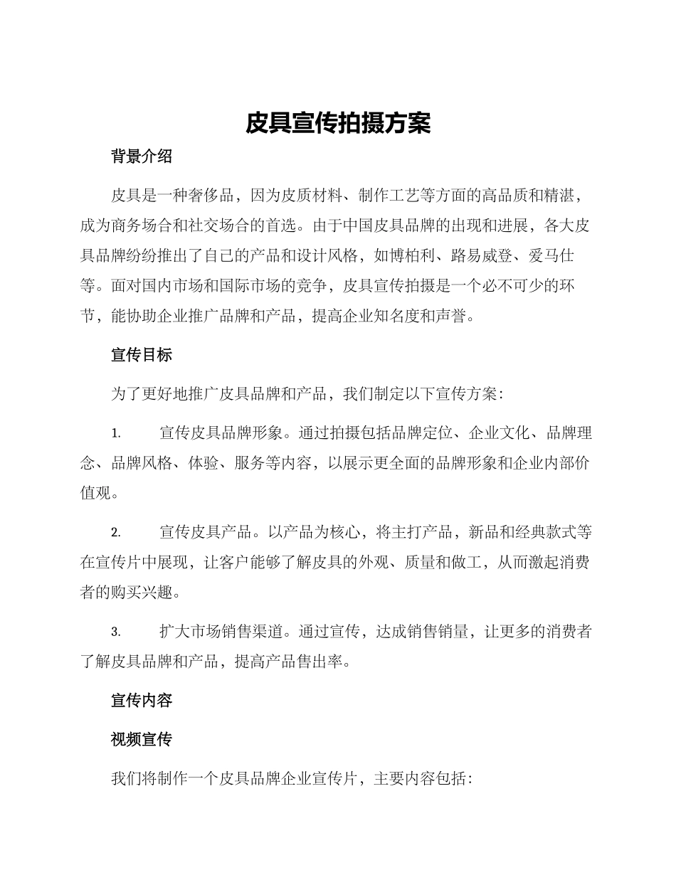 皮具宣传拍摄方案_第1页