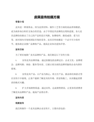 皮具宣传拍摄方案