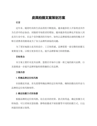皮具拍摄文案策划方案