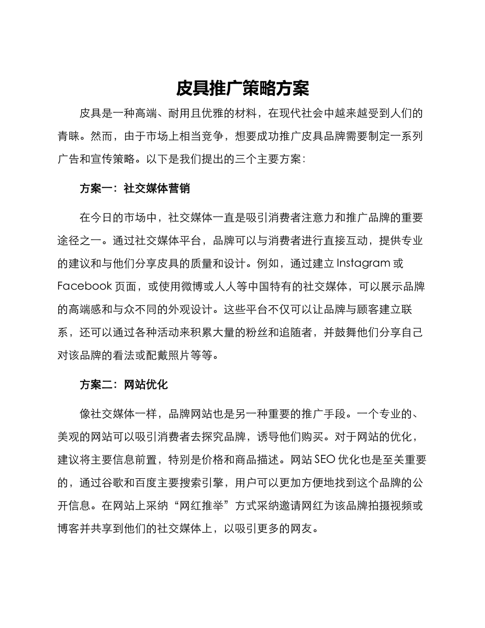 皮具推广策略方案_第1页