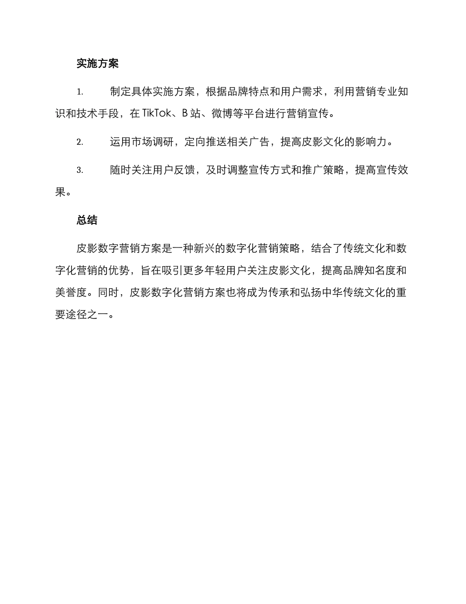 皮影数字营销方案_第3页