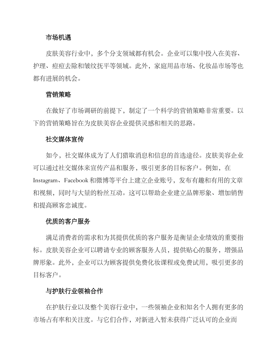 皮肤美容营销方案_第2页