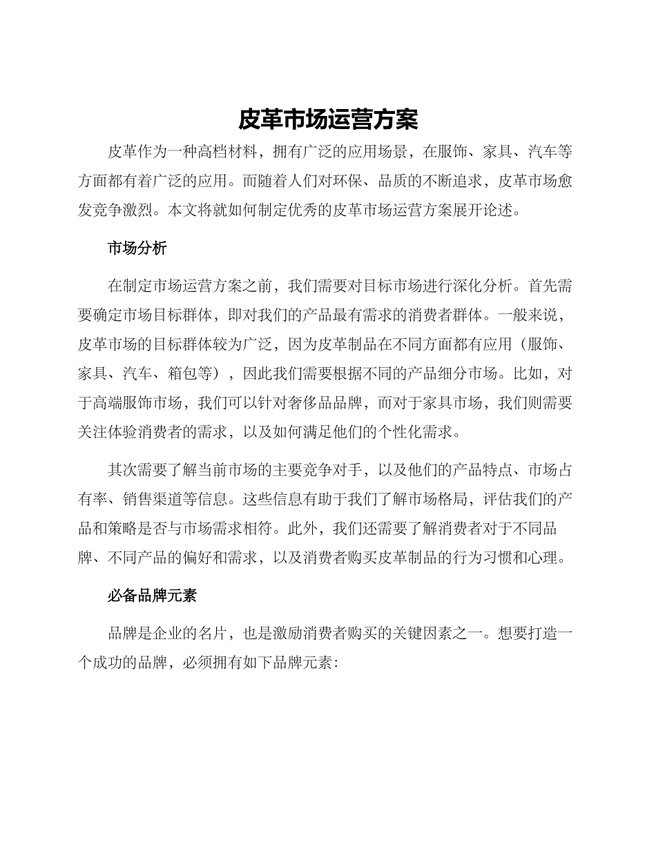 皮革市场运营方案_第1页