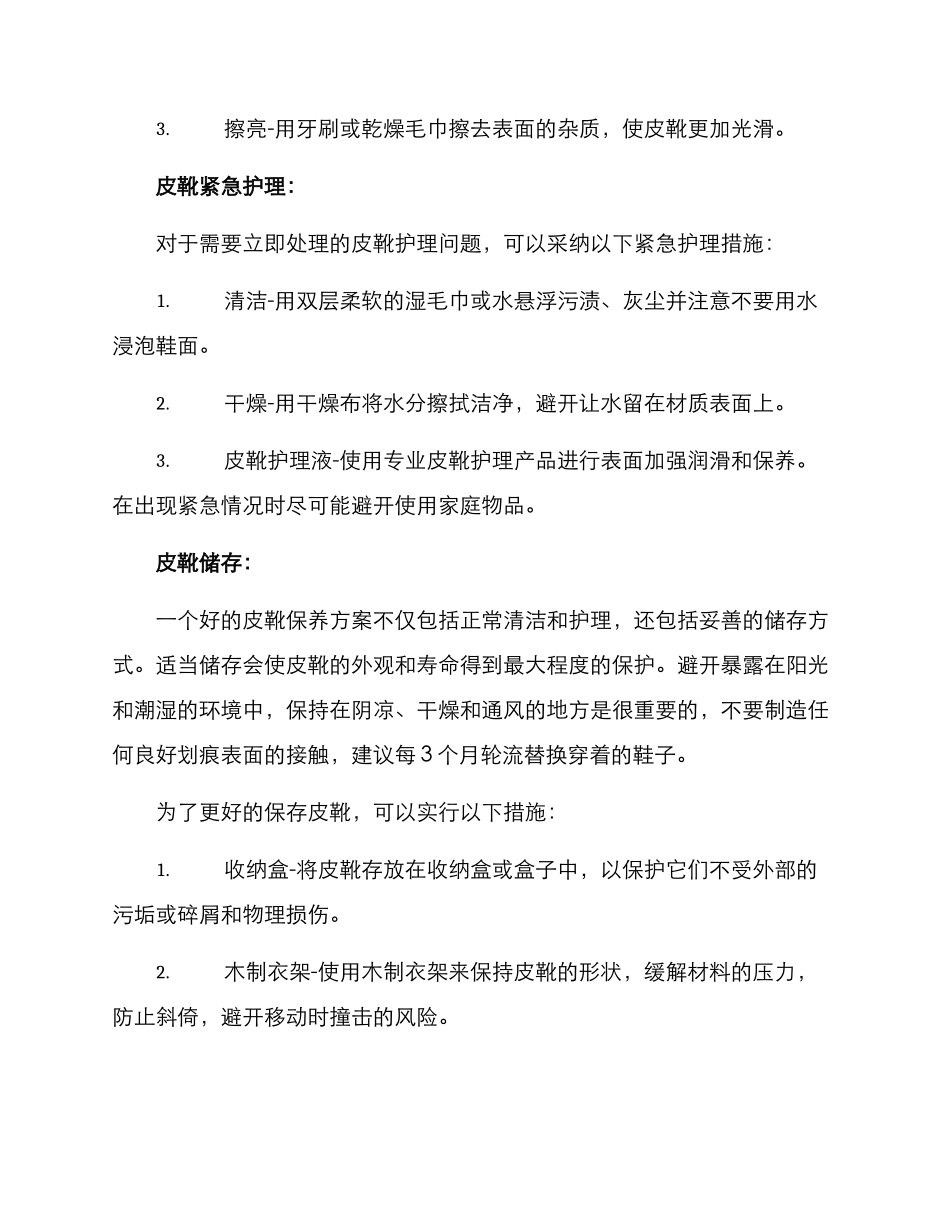 皮靴保养服务方案_第2页