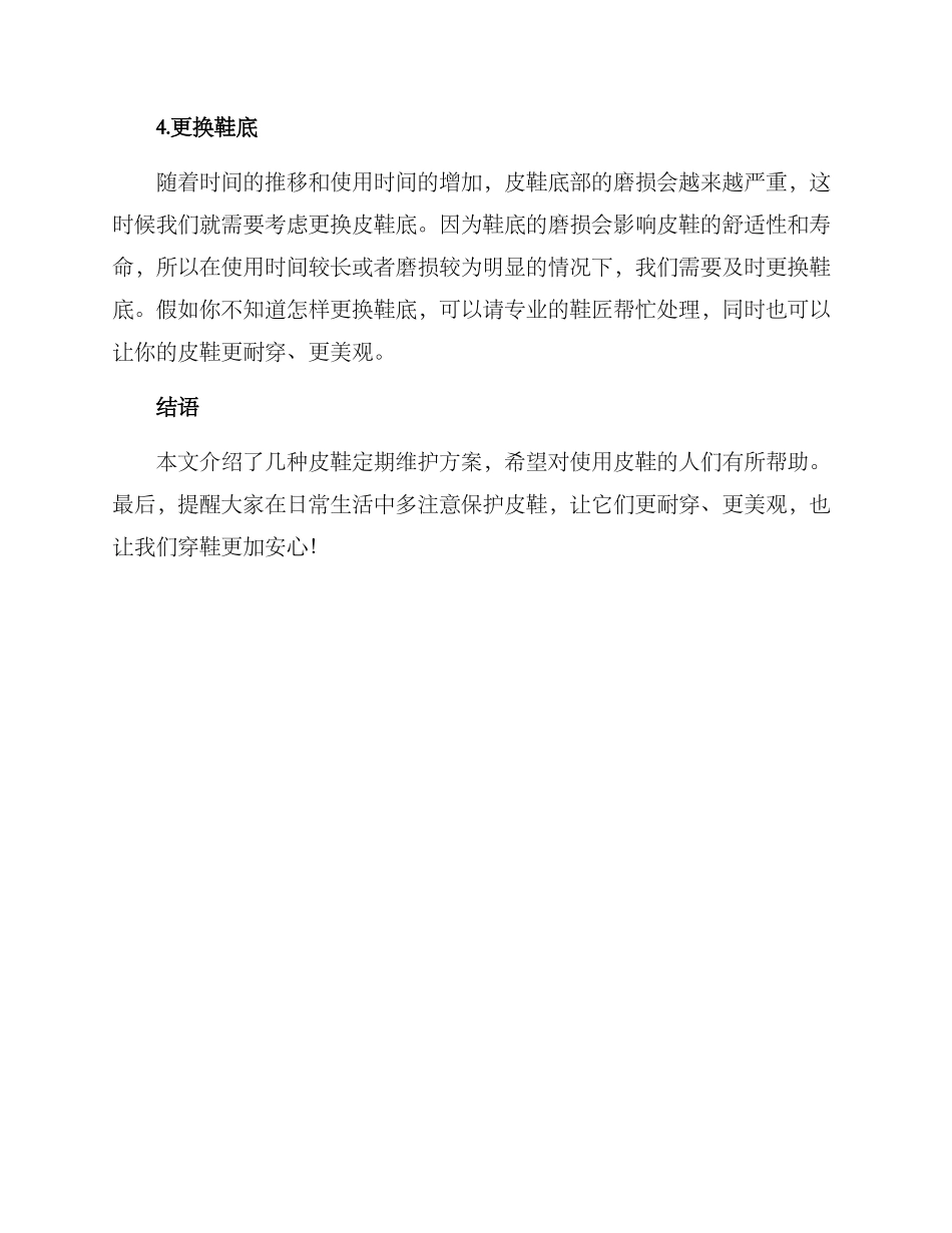 皮鞋定期维护方案_第2页