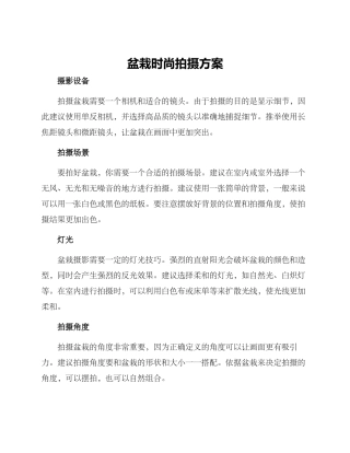 盆栽时尚拍摄方案
