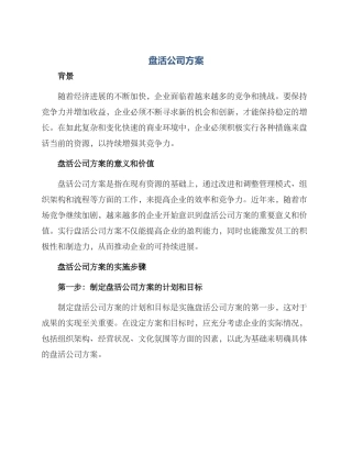 盘活公司方案