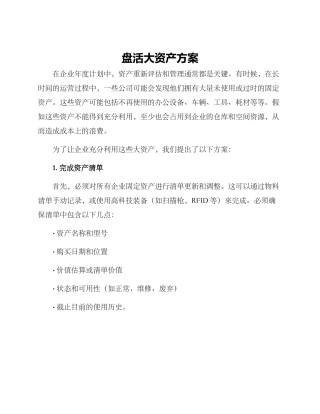 盘活大资产方案