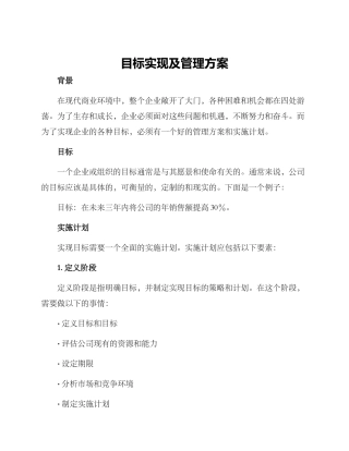 目标实现及管理方案