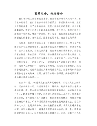 真爱生命-关注安全