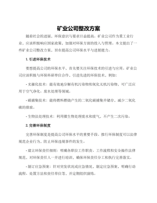 矿业公司整改方案