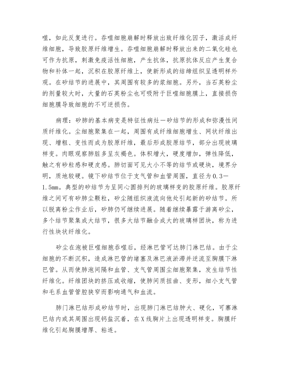 矽肺的病因及病理_第2页