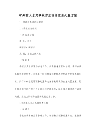 矿井重大水灾事故作业现场应急处置方案