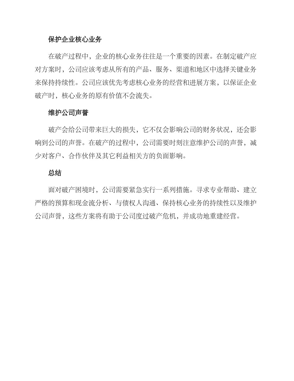 破产应对方案_第2页