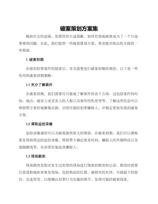 破案策划方案集
