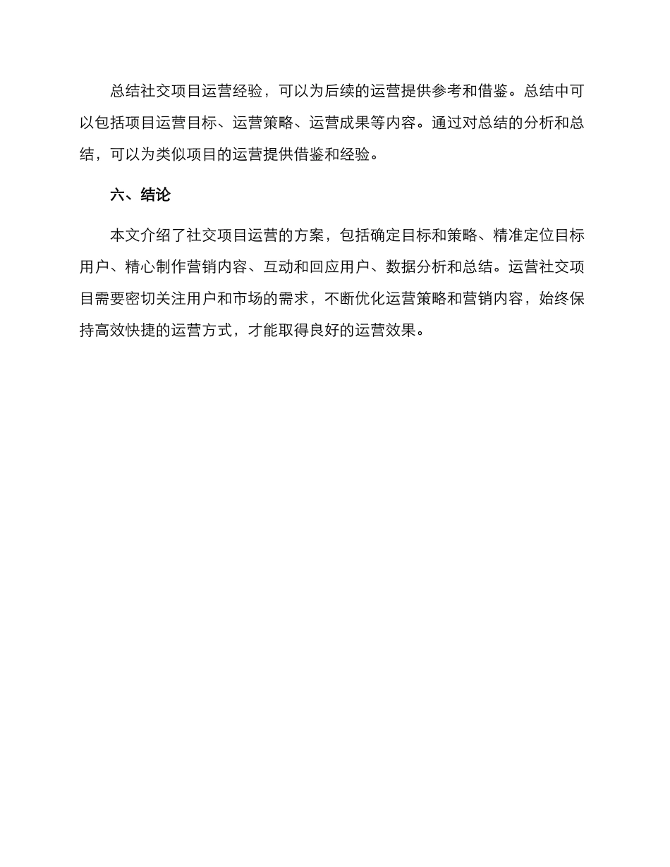 社交项目运营方案_第3页