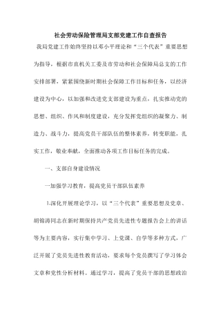 社会劳动保险管理局支部党建工作自查报告