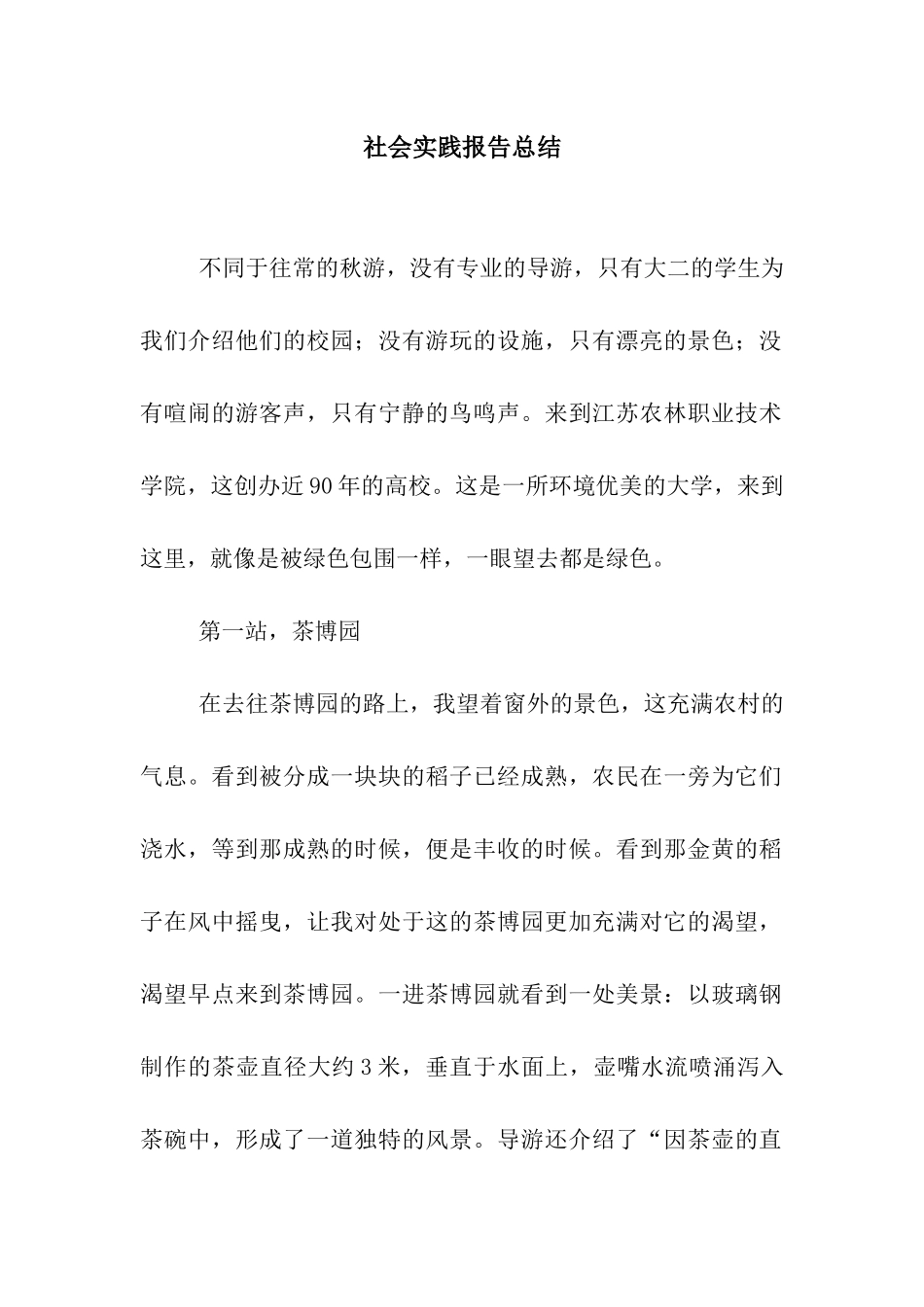 社会实践报告总结_第1页