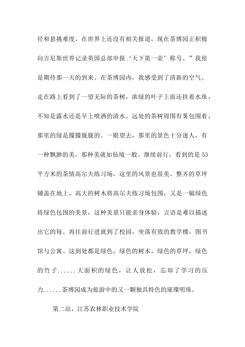 社会实践报告总结_第2页