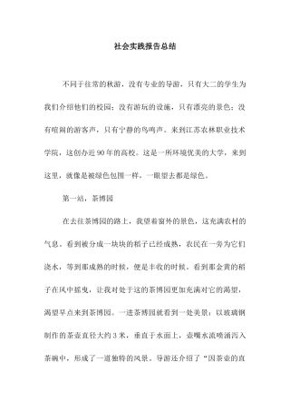 社会实践报告总结